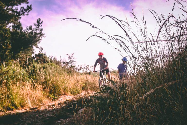 bicycle-bikers-biking-733741